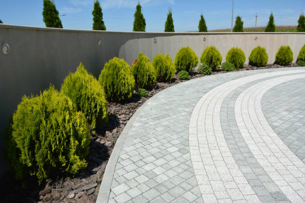 Best Interlocking Driveway Pavers  in Lake Sarasota, FL